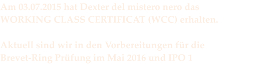 Am 03.07.2015 hat Dexter del mistero nero das  WORKING CLASS CERTIFICAT (WCC) erhalten.  Aktuell sind wir in den Vorbereitungen für die             Brevet-Ring Prüfung im Mai 2016 und IPO 1