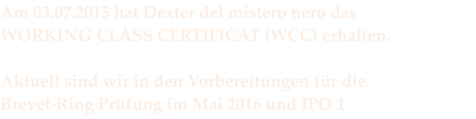 Am 03.07.2015 hat Dexter del mistero nero das  WORKING CLASS CERTIFICAT (WCC) erhalten.  Aktuell sind wir in den Vorbereitungen fr die             Brevet-Ring Prfung im Mai 2016 und IPO 1